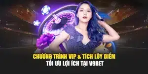 Chương Trình Vip & Tích Lũy Điểm Tối Ưu Lợi Ích Tại V9bet